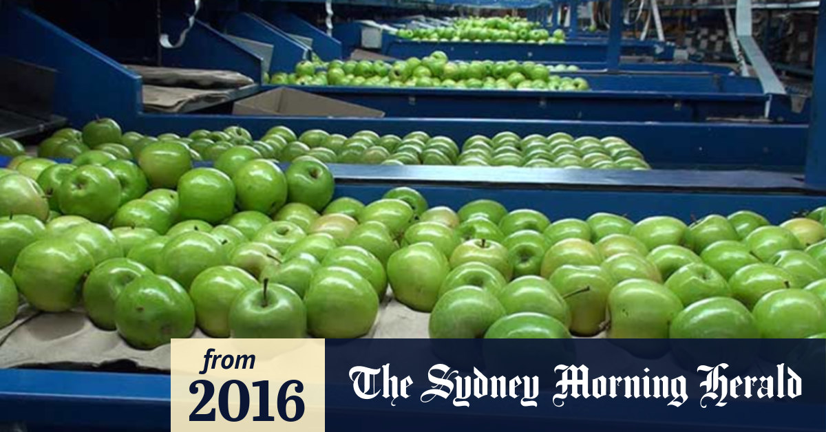 Video where do apples come from 